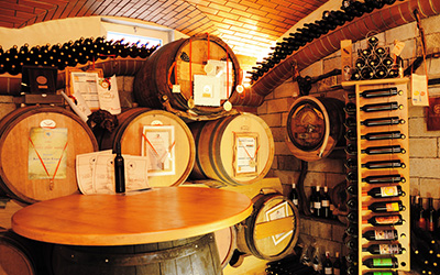 Vinska klet Kozlevčar